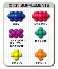 次世代SUPPLEMENTS M.S.M. L-アルギニン コンドロイチン コラーゲン ヒアルロン酸 ビタミンB ビタミンC ビタミンE